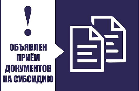 Объявлен отбор заявок на предоставление субсидии